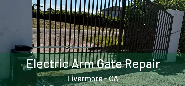 Electric Arm Gate Repair Livermore - CA