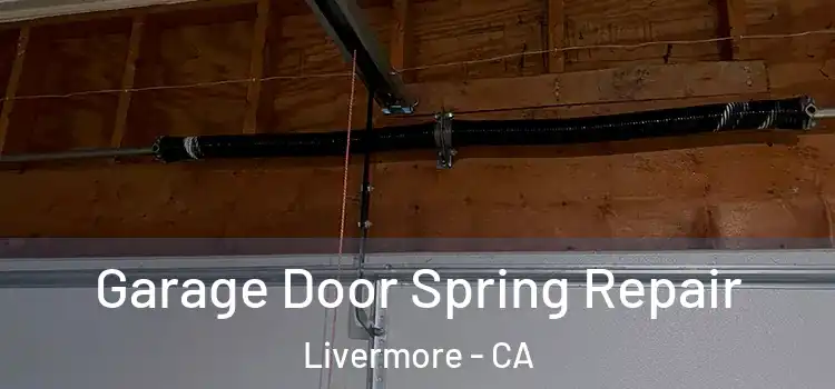  Garage Door Spring Repair Livermore - CA