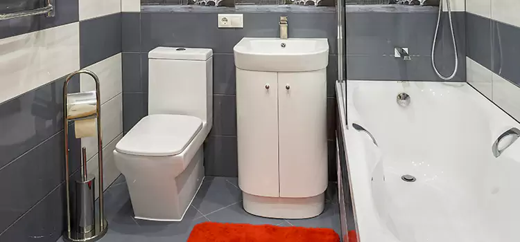Hansgrohe Shaving Mirror Livermore
