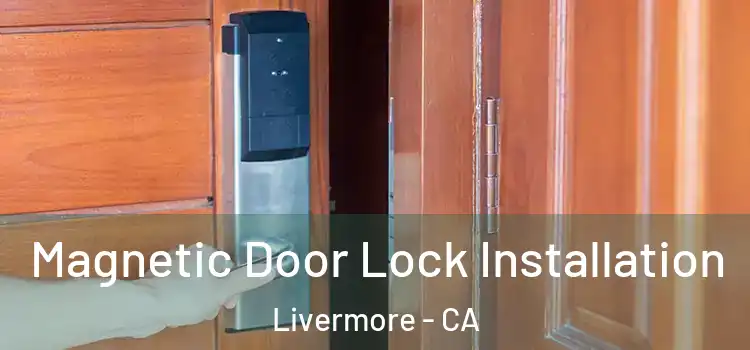  Magnetic Door Lock Installation Livermore - CA
