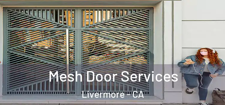Mesh Door Services Livermore - CA