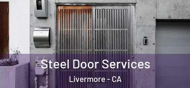 Steel Door Services Livermore - CA